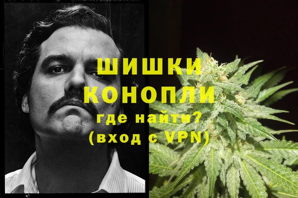 apvp Алексин