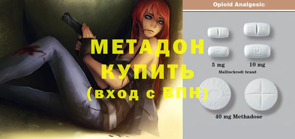 шишки Заводоуковск