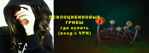 apvp Алексин