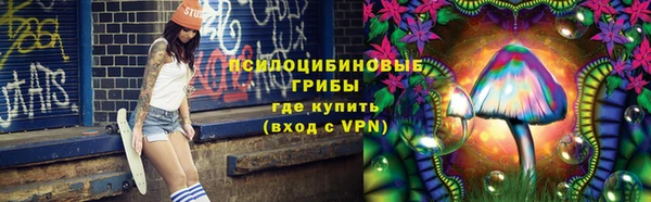гидра Алексеевка