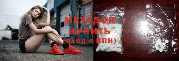 стаф Алзамай